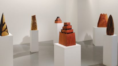 Exposición de David Nash en la Galería Álvaro Alcázar, Madrid.