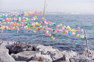 Peter Fraser. Serie Mathematics.