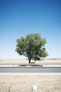 Javier Marquerie Bueno. 25 julio. La muerte de Gerda.