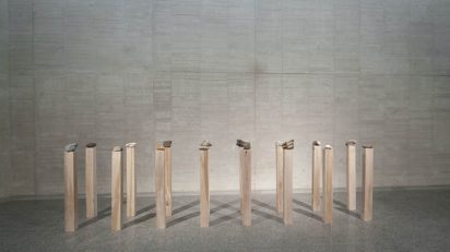 herman de vries, 'chance & change'. Vista de la exposición en MUSAC, Museo de Arte Contemporáneo de Castilla y León.