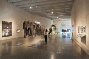 'Hybris'. Una posible aproximación ecoestética. Vista de la exposición en MUSAC, Museo de Arte Contemporáneo de Castilla y León.