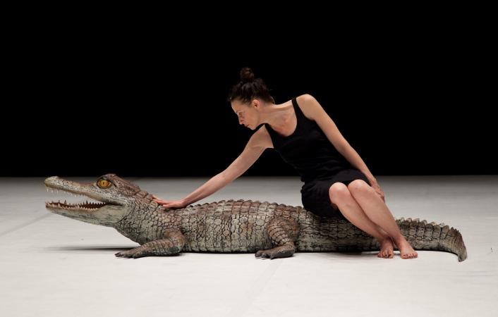 África fantasma, de João Samões. Fotografía: Tatiana Macedo.