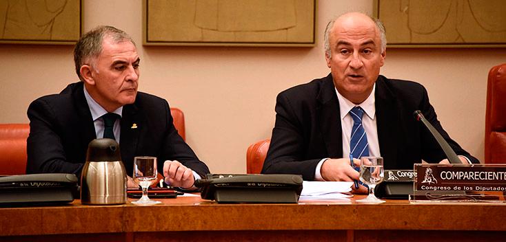 El secretario de Estado de Cultura, Fernando Benzo, en la Comisión de Cultura del Congreso de los Diputados.
