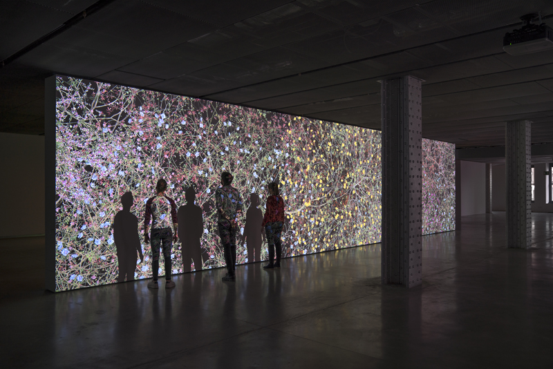Marie Curie. Espacio Fundacion Telefonica. ©Jennifer Steinkamp.