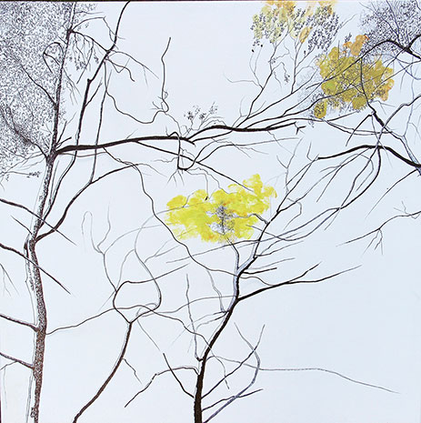 Bosque infinito VI. TATIANA BLANQUÉ. Rotulador permanente, óleo y alambre/tela. 50x50 cm.