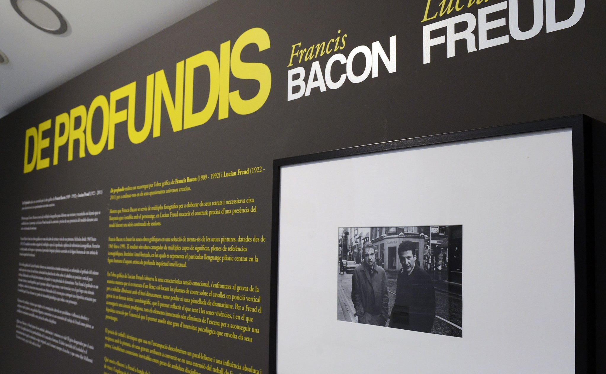 La exposición 'Francis Bacon - Lucian Freud. De profundis' ofrece un recorrido por la obra gráfica de ambos artistas y pone el foco en qué actitud y qué temas dedicaron cada uno de ellos a esta faceta de su producción artística.