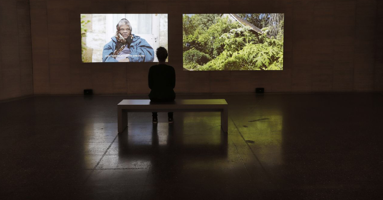 Survival Art (Arte de supervivencia). Foto: MUSAC.