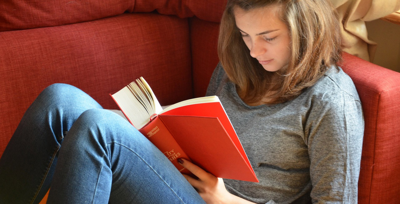 hand-book-novel-read-person-girl-923667-pxhere.com_