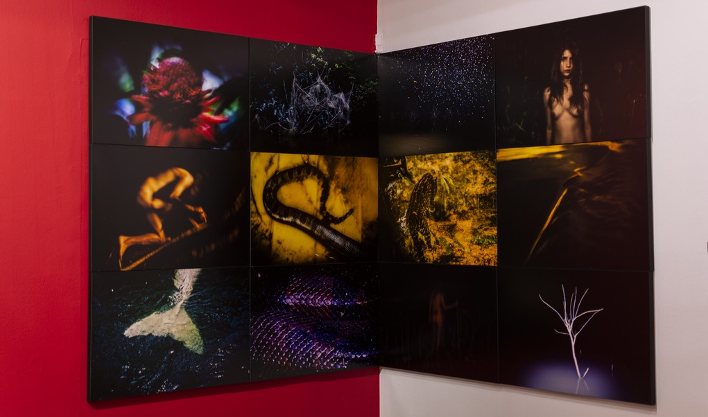 Estratos de un paisaje, de la Colección Jan Mulder.