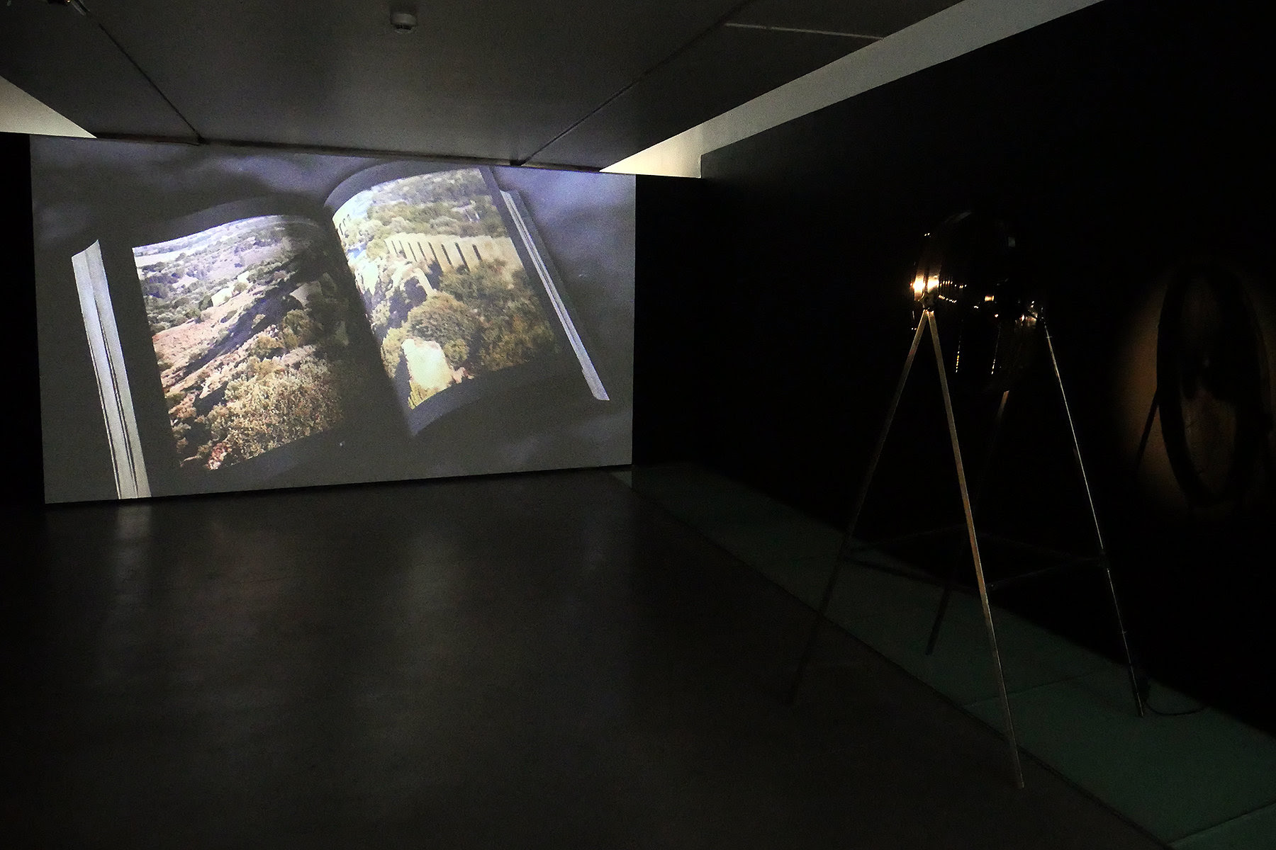 Vista de la exposición 'Fabrizio Plessi. 30 años en Mallorca'. Es Baluard. © de la obra, Fabrizio Plessi, 2019.