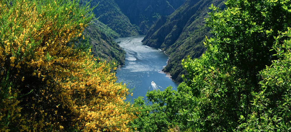 Ribeira Sacra. CEDIDA POR TURISMO DE GALICIA.