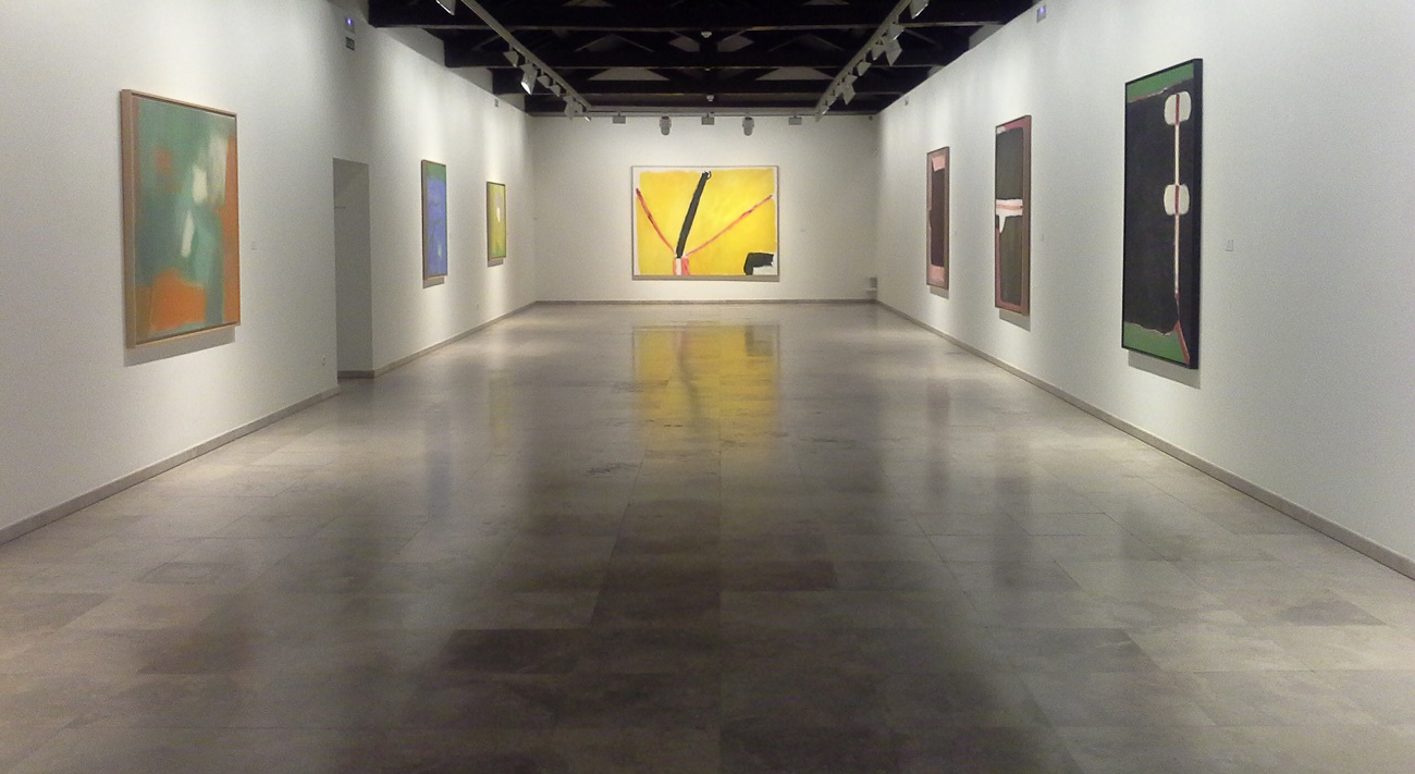 Exposición 'Guerrero / Vicente'.