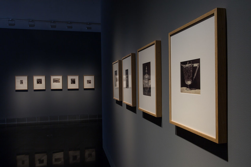 JANE CLIFFORD. EL TESORO DEL DELFÍN.