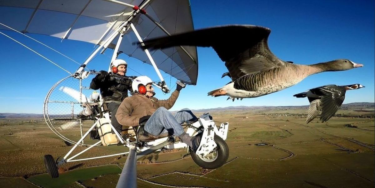 volando-juntos-pelicula-critica-1580212452