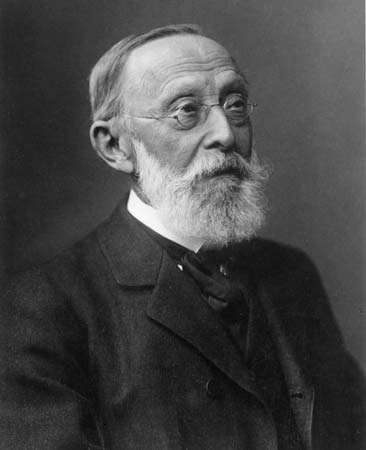 Rudolph-Virchow - hoyesarte.com