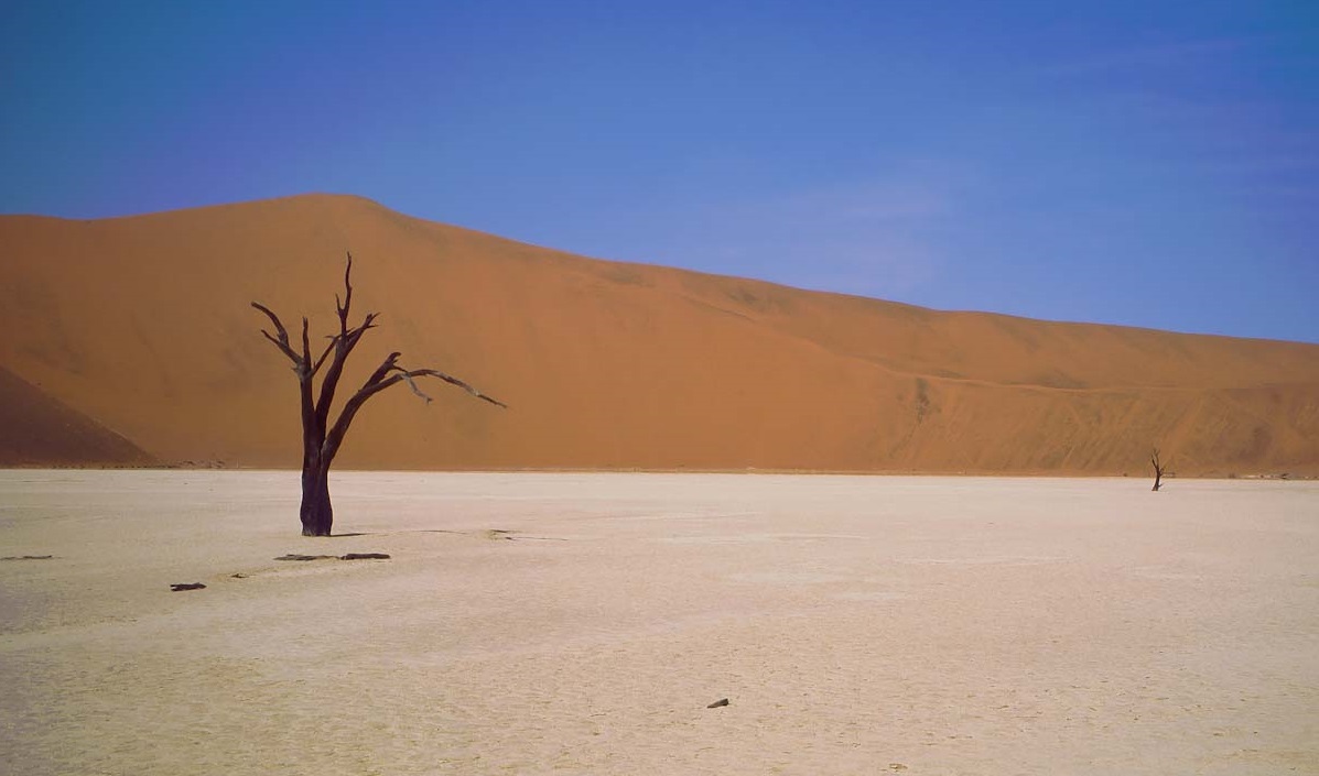 Desierto del Namib. © Luis Domingo.