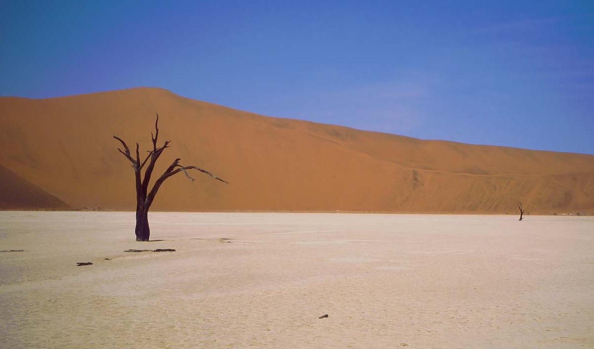 Desierto del Namib. © Luis Domingo.