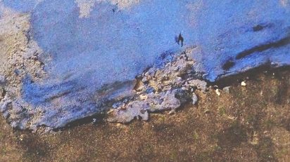 Guido G. Velasco. Serie 'Ecología'. Azul. Detalle.