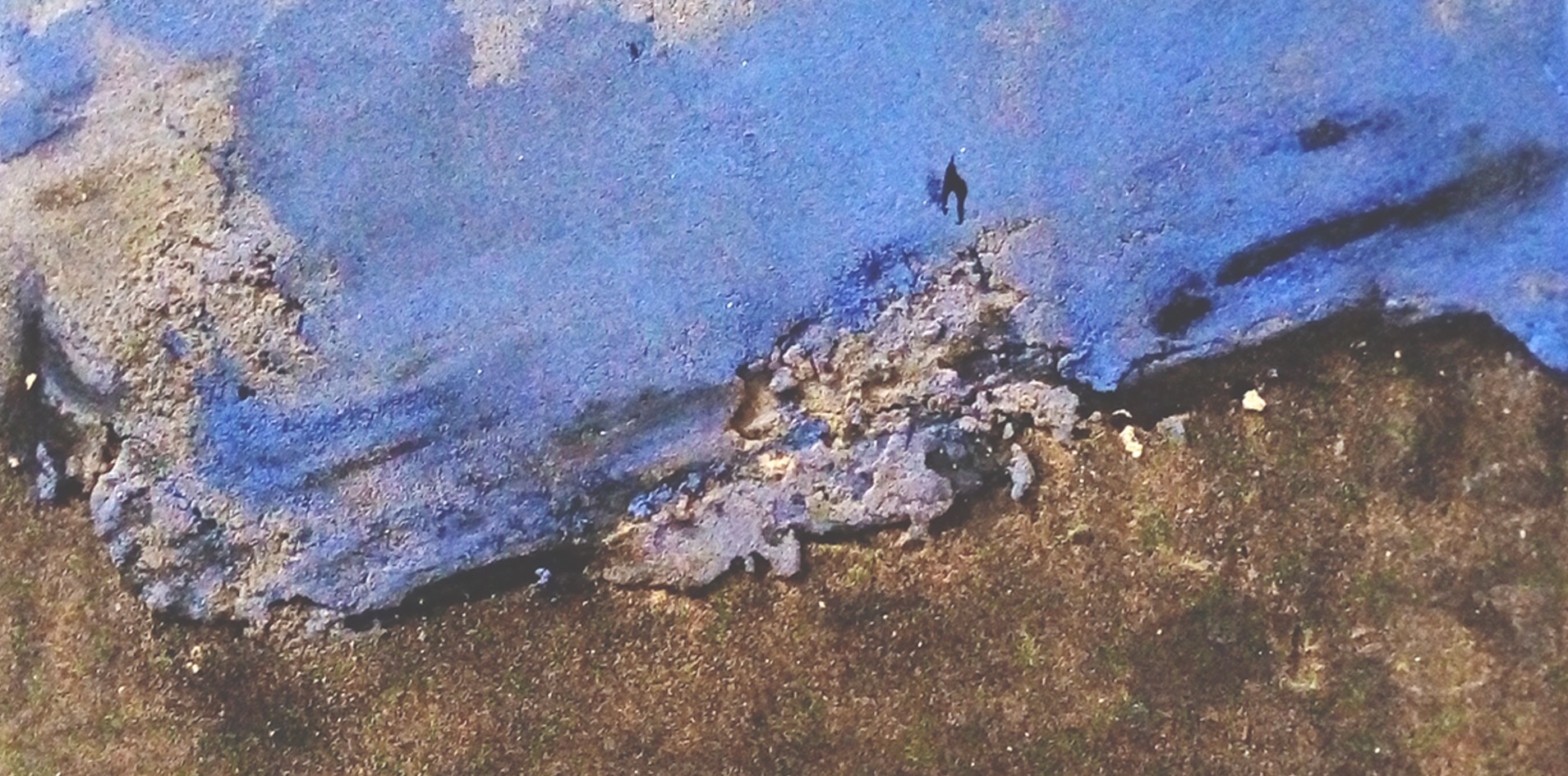 Guido G. Velasco. Serie 'Ecología'. Azul. Detalle.