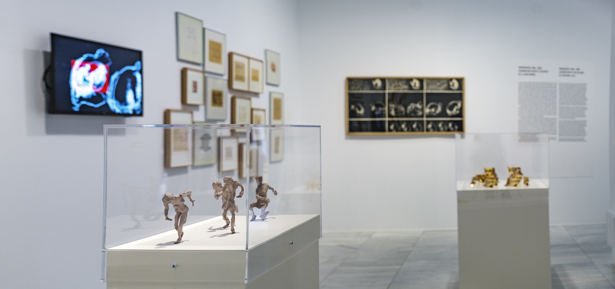 'José Luis Alexanco. Ejercicio temporal'. Foto: Guillermo Gumiel.