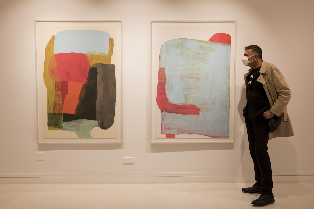 Pedro Calapez. 'Con una nube en el medio'. Galería Fernando Pradilla. © Luis Domingo.