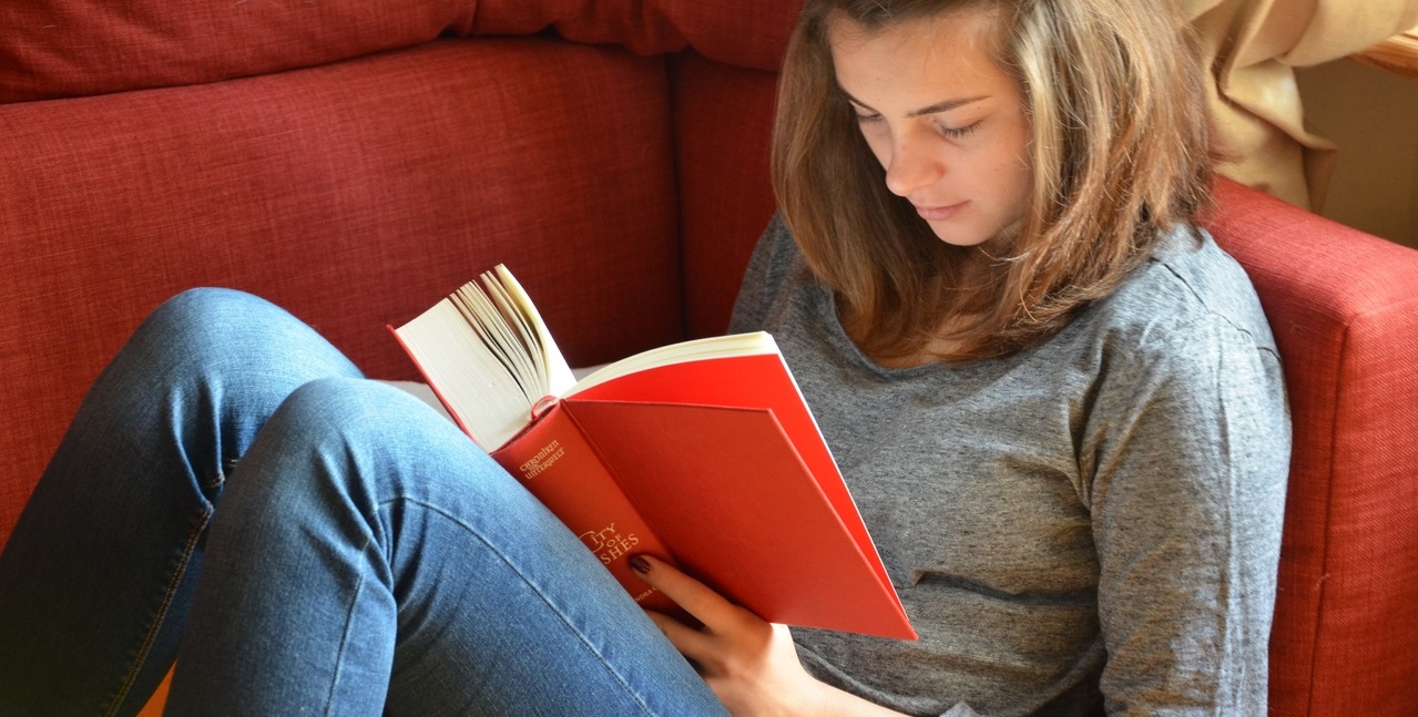 hand-book-novel-read-person-girl-923667-pxhere.com_