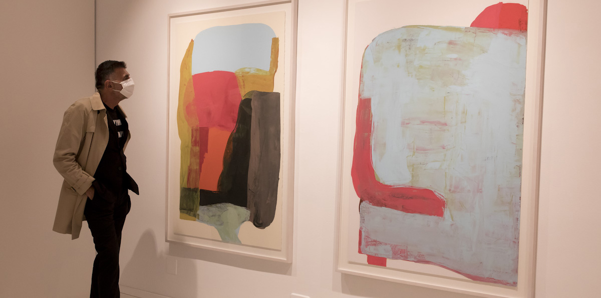 Pedro Calapez. 'Con una nube en el medio'. Galería Fernando Pradilla. © Luis Domingo.