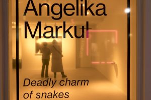 Angelika Markul. 'Deadly charm of snakes', exposición en la Galería Albarrán Bourdais. © Luis Domingo.