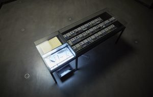 Regina de Miguel. 'Voces de mundos que se desvanecen', 2013.