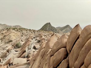 Cola del Dragón (desierto de Tabernas).