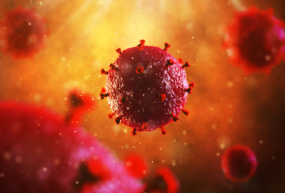 Virus de la inmunodeficiencia humana (VIH).