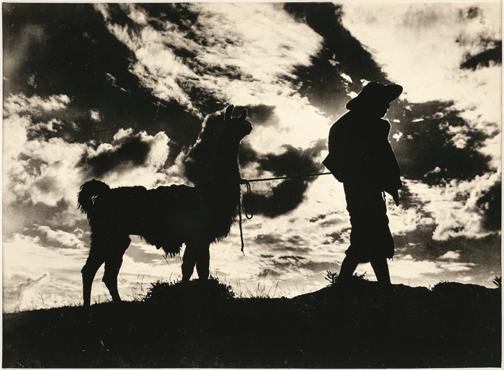 El indio y su llama. Ca.1923 © Martín Chambi / Colección Jan Mulder.