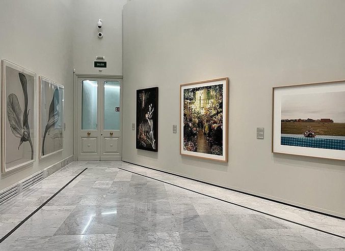EXPOSICIÓN FLORES Y FRUTOS. COLECCIÓN BANCO DE ESPAÑA.
