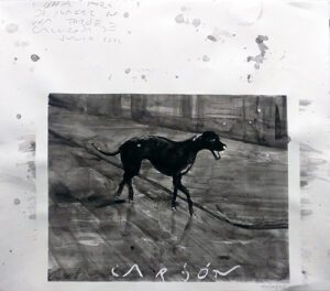 EG0199 - Eduardo Gruber - Carbón. - Acuarela y lápiz sobre papel. 44,5 x 51. 2022