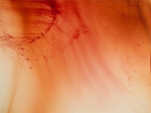 Wolfgang Tillmans, Urgency XVIII, 2006. Centre Pompidou, MNAM-CCI/Georges Meguerditchian/Dist. RMN-GP. © Wolfgang Tillmans.