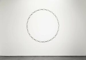 Exposición "Mi mundo como objeto" de Diana Fonseca en Galería Max Estrella