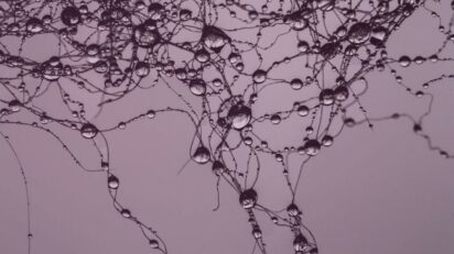 Imagen del programa 'Detonación invisible'. TEA Tenerife Espacio de las Artes.