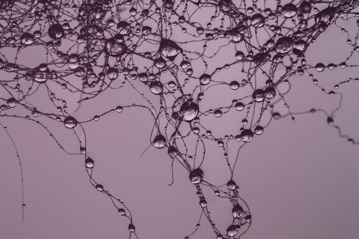 Imagen del programa 'Detonación invisible'. TEA Tenerife Espacio de las Artes.