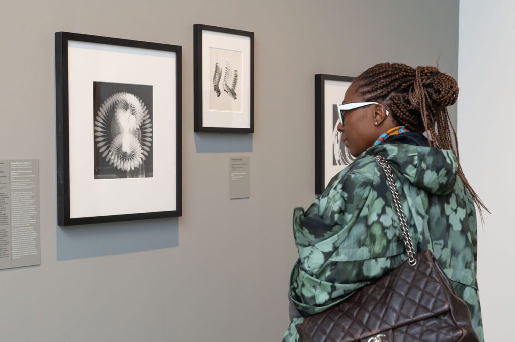 Visitantes en la exposición «Visiones expandidas. Fotografía y experimentación» de CaixaForum València. © Vicente A. Jiménez. Fundación "la Caixa".