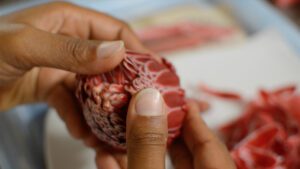 MINIA BIABIANY. Musa, 2020 (fotograma) Artistaren adeitasunez / Cortesía de la artista