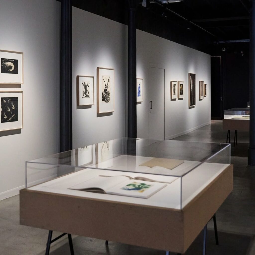 Exposición "Miquel Barceló. Grabados de Barcelona. 2010-2026" en Artur Ramon Art. Fotografía cortesía de la galería.