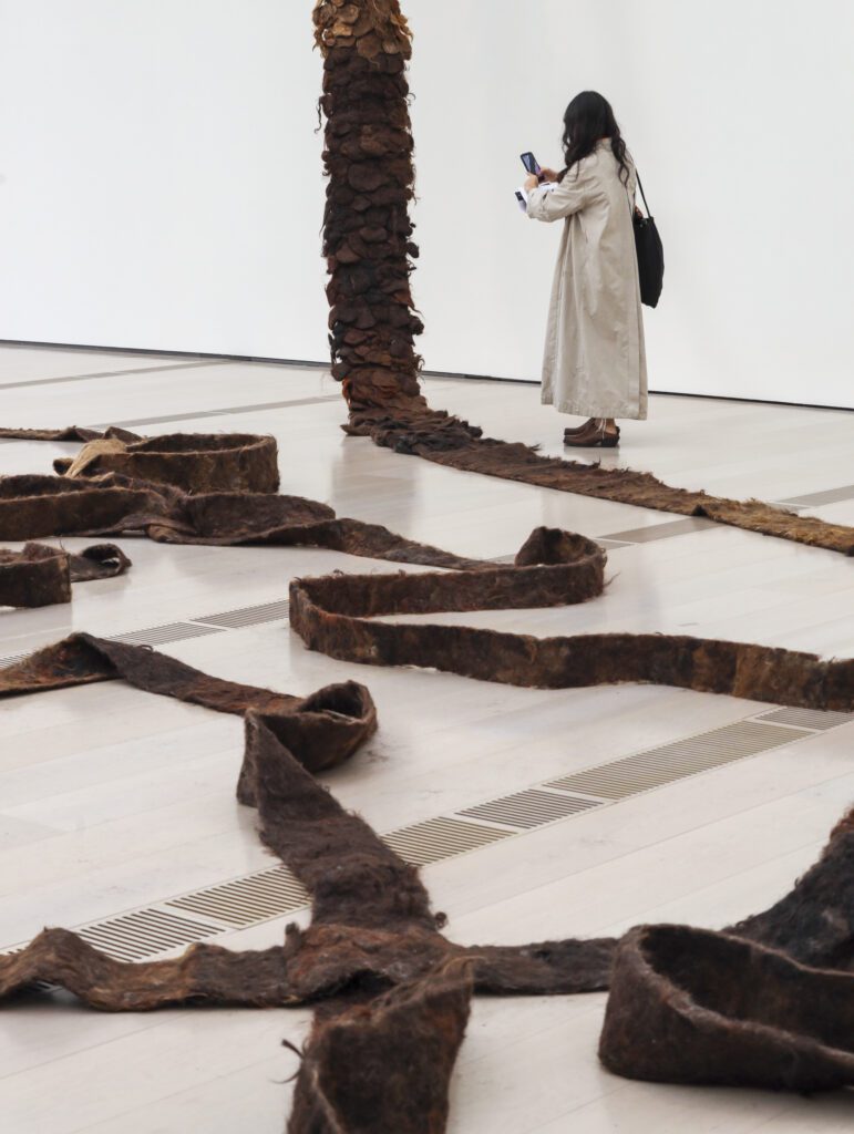 El Centro Botín presenta la exposición "SOLANGE PESSOA: Del día o de la noche". Fotografía: Belén de Benito.